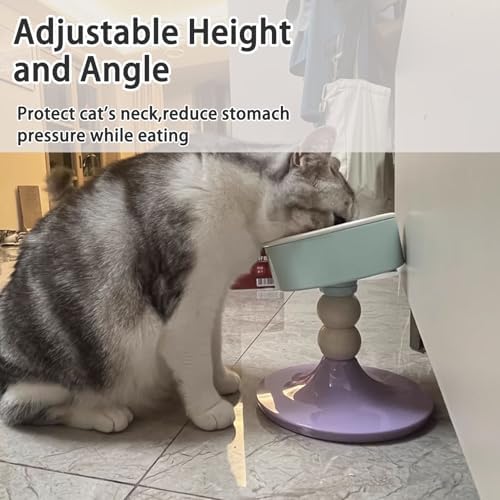 Elevated Cat Bowls, Slanted Ceramic Cat Bowl for Indoor Cats - Image 5