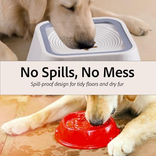 Dog Water Bowl,No Spill Water Bowl for Dogs 45oz Large Capacity,Safety Foam in the Dog Bowl, No Spill Bowl for Elevated Design Mess Proof is Easy to Clean, is Suitable for All Pets - Image 5