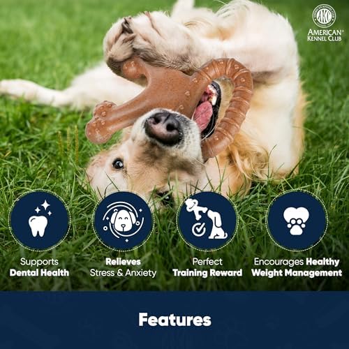 American Kennel Club AKC Training Wood-Infused Dog Chew Toy – Moderate Chewers, Durable & Long-Lasting, Chicken Scented, Supports Dental Health – Multiple Shapes - Image 3
