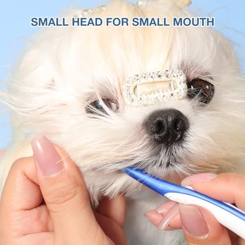 Ultra Soft Nano Dog Toothbrush Kit for Small Breed Pet 3 Styles - Image 3