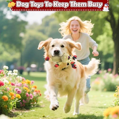 Christmas Dog Toy Squeaky Interactive Dog Toys Indoor Outdoor Play - Image 6