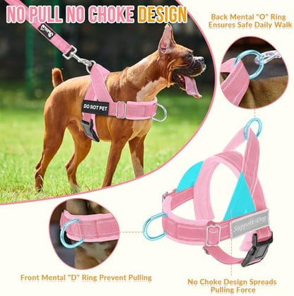 SlowTon No Pull Dog Harness and Leash Set - Heavy Duty, Soft Padded - Image 2