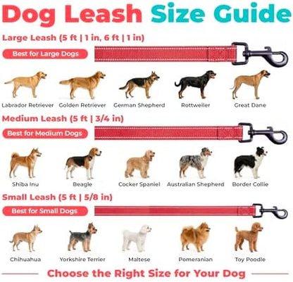 Best Pet Supplies Voyager Nylon Dog Leash - Red, Medium - Image 6