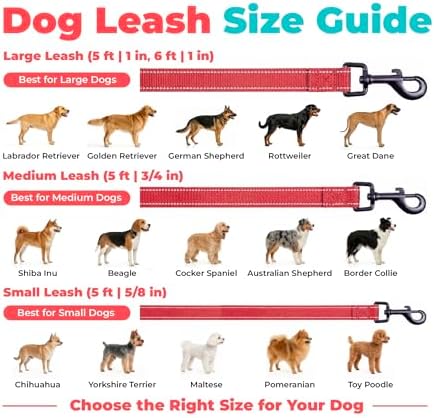 Best Pet Supplies Voyager Nylon Dog Leash - Red, Large - Image 6