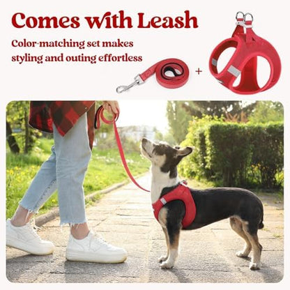 rabbitgoo Dog Harness Medium Sized and Leash Set, Step-in Puppy Pet Vest - Image 6