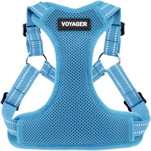 Voyager Step-in Flex Adjustable Dog Harness - Baby Blue, Small by BestPetSuppliesLLC