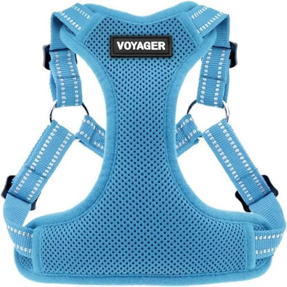 Voyager Step-in Flex Adjustable Dog Harness - Baby Blue, Small by BestPetSuppliesLLC
