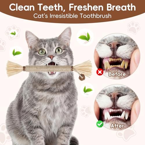 5 Pack Silvervine Sticks Cat Toys, Natural Chew Kitten Teething Toys for Cleaning, Matatabi Catnip Treat Toys, Catmint Silver Vine Sticks for Bored Indoor Kitty - Image 4