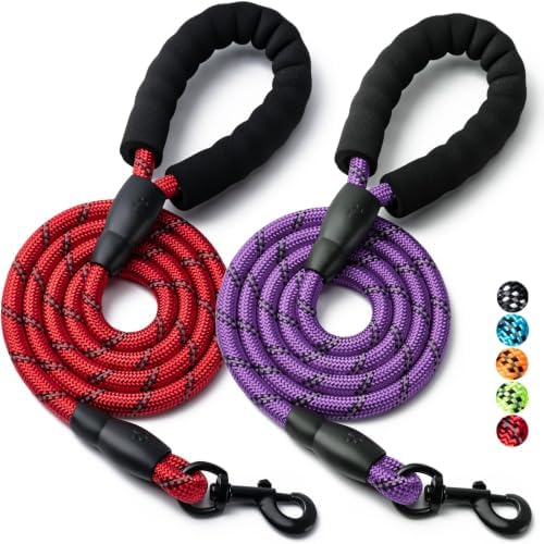 2 Pack Dog Leash, Heavy Duty Nylon Rope Pet Leashes (5FT-3/8,Red/Purple) by BOOMIBOO