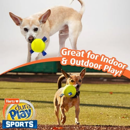 Hartz Dura Play Sports Baseball Dog Toy, Bacon Scented Squeaky Latex Yellow & Blue Toy, 1 Count - Image 7