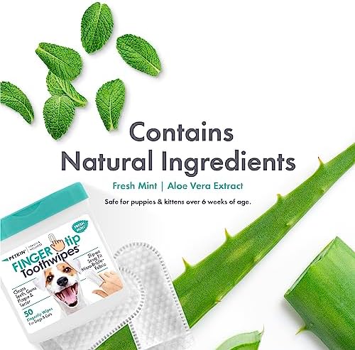 Petkin Fingertip Tooth Wipes for Dogs and Cats, 50 Finger Wipes - Slip-On, Snug Fit, Micro-Bristle Fabric - Cleans Teeth, Gums, Plaque & Tartar - Convenient, Ideal for Home and Travel - Fresh Mint - Image 4