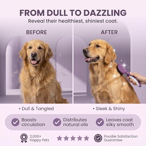 Round Bristle Pet Brush for Dogs and Cats - Soft Dog Brush for Grooming Short or Long Hair - Gentle Tool for Sensitive Skin Removes Dander, Dirt, and Detangles (Purple) - Image 6