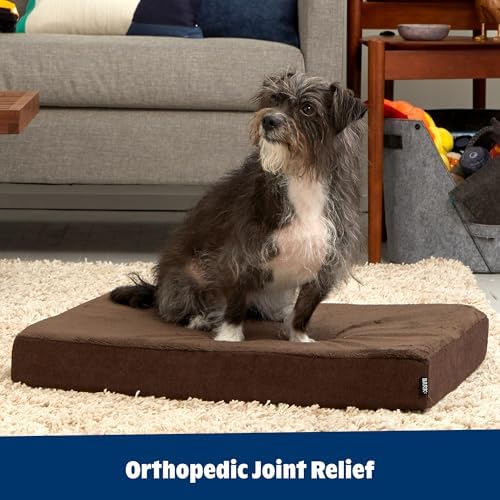 BarkBox Orthopedic Dog Bed - Medium - Image 6