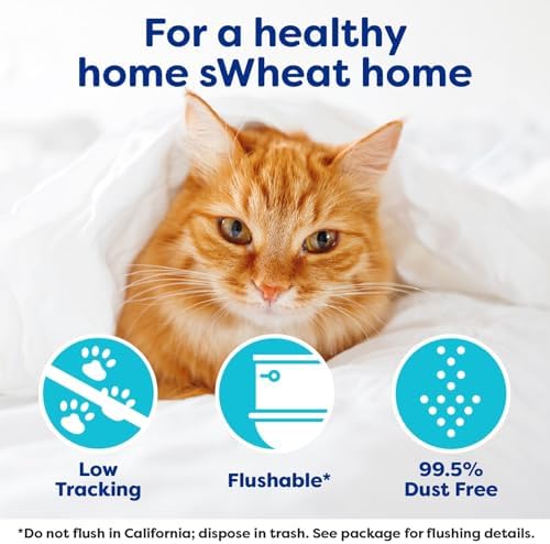 sWheat Scoop Natural Wheat Cat Litter, Original, Fast Clumping with Odor Neutralizing Enzymes, 28 Pound Bag - Image 4