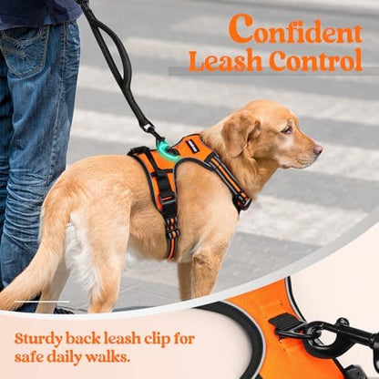 rabbitgoo Dog Harness, No Pull for Small Dogs with 2 Leash Clips, Pet Vest - Image 6