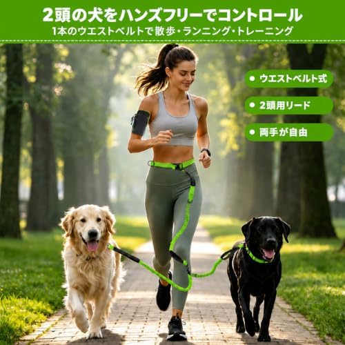 Hands Free Double Dog Leash, 4 Reflective Padded Handles, Adjustable Waist Belt 27-51", Shock-Absorbing Bungee, 360° Swivel Clips, for Small, Medium & Large Dogs, Walking Jogging Running - Image 2