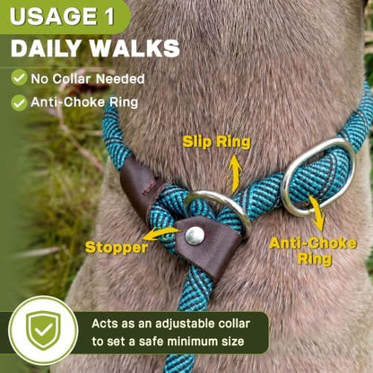 Fida Durable Slip Lead Dog Leash, 6 FT x 3/8" Dog Training Leash, Blue - Image 4