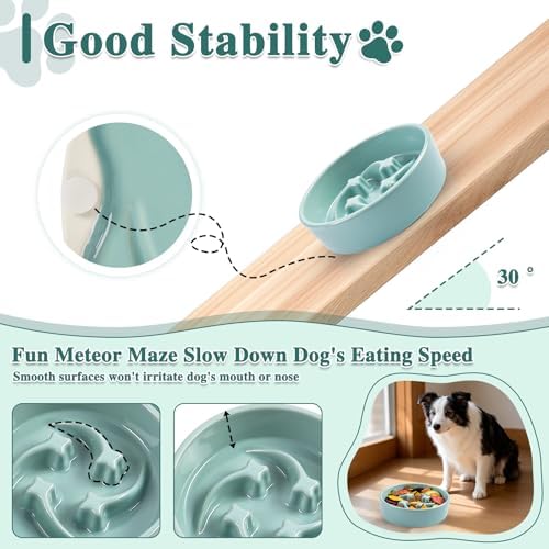 Ceramic Slow Feeder Dog Bowls, 0.6 Cups Dog Food Dish for Small Breed - Image 3