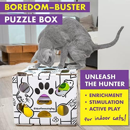 Cat Amazing Sliders – Puzzle Toy for Indoor Cats – Treat Box Interactive Maze – Enrichment Feeder – Best Cat Toy Ever! - Image 3
