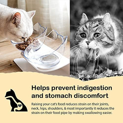 Leo's Paw Anti-Vomiting Orthopedic Cat Bowl Elevated 15° Tilted Cat Food and Water Bowls for Better Digestion Raised Stand with Non-Slip Bottom Detachable Feeding Bowl (Double Clear) - Image 3