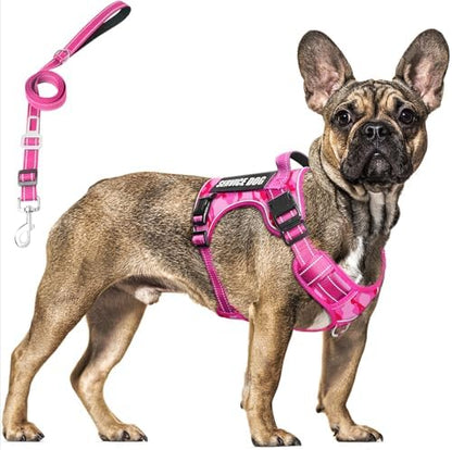 Tactical Dog Harness and Leash Set with 10 Patches for Medium Dogs by MOOGROUPETSFRIEND