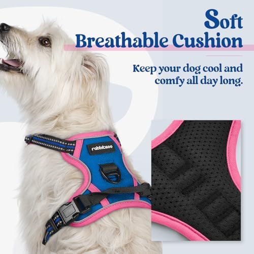 rabbitgoo Dog Harness, No Pull for Small Dogs with 2 Leash Clips, Pet Vest - Image 2
