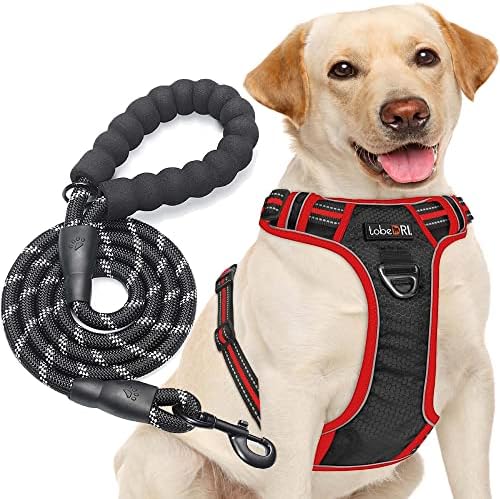 tobeDRI No Pull Dog Harness Adjustable Reflective Oxford Easy Control Medium Large Dog Harness with A Free Heavy Duty 5ft Dog Leash, Black/Red, XL by tobeDRI