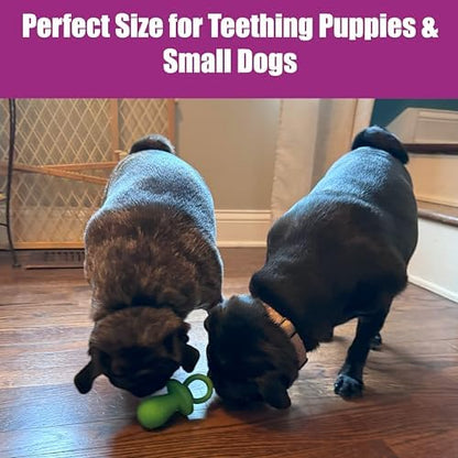SPOT Puppy Pacifier Latex Dog Toy – Soft Binky-Shaped Chew for Teething Puppies & Small Dogs, 4.5 Inch, for Light Chewers Only, Squeaky Natural Latex, Assorted Colors - Image 5