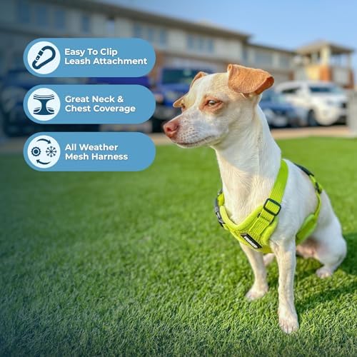 Best Pet Supplies Voyager Step-in Air All Weather Mesh Harness and Reflective Dog 5ft Leash Combo with Neoprene Handle, for Small, Medium and Large Breed Puppies - Lime Green, XX-Small - Image 5