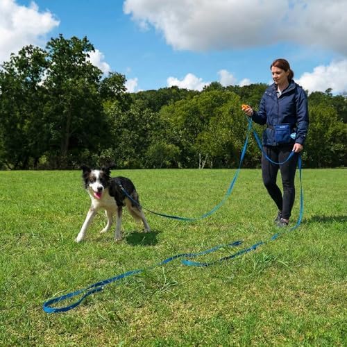 Dog Training Kit & Puppy Starter Set with 30ft Long Leash – Complete Recall System w/Magnetic Treat Pouch, Clicker, Collapsible Bowl & Waste Bags – Professional Tools (Navy Blue) - Image 2