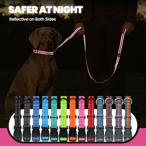 VIVAGLORY Double Handle Dog Leash Twingrip, 5ft x 1in, S, Pink - Image 5