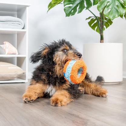 Chuckit! Indoor Fetch Roller Toy for Dogs - Interactive Dog Toys for Boredom, Orange and Blue - Image 5