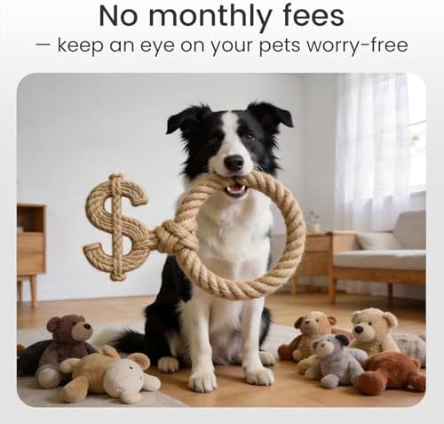 youkey 2.5K Indoor Pet Security Camera, Two-Way Audio Chat to Your Pets, AI Pet/Human Detection, 360° AI Human Tracking, Privacy Mode, No Monthly Fees, Night Vision, WiFi 6（2.4GHz & 5GHz） - Image 6