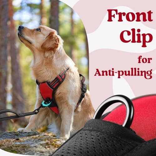 rabbitgoo Dog Harness for Large, Updated Easy On & Off with 3 Buckles - Image 6