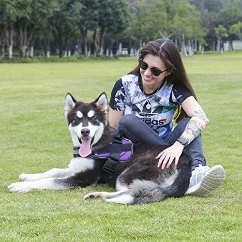 Dog Harness, No-Pull Reflective Dog Vest, Breathable Adjustable Pet Harness with Handle for Outdoor Walking - No More Pulling, Tugging or Choking (Purple, L) - Image 5