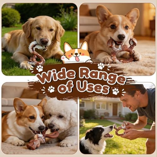 Indestructible Dog Toys for Aggressive Chewers, Tough and Durable Chew Toys for Large Medium Dogs, Interactive Dog Chew Toys to Keep Them Busy (B Squirrel) - Image 5