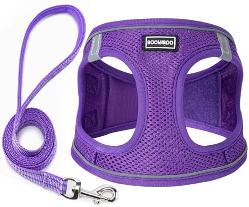 Dog Harness with Leash Set, Step-in Adjustable Puppy Pet Vest, Purple M by BOOMIBOO