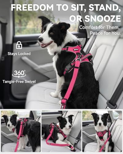 Joytale 3-in-1 Bungee Dog Seat Belt for Car, Medium and Large Dogs, Hotpink - Image 5