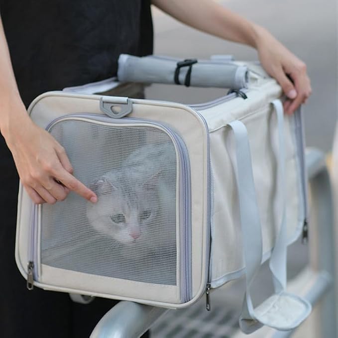 Pet Carrier Bag for Cats & Small Dogs, Airline Approved Travel Cat Carrier with Mesh Windows, Shoulder Strap & Removable Mat, Foldable Design for Home & Outdoor Trips (Grey)