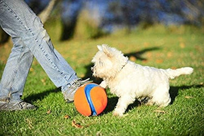Chuckit! Kick Fetch Ball Dog Toy, Small (6 Inch) - Image 2