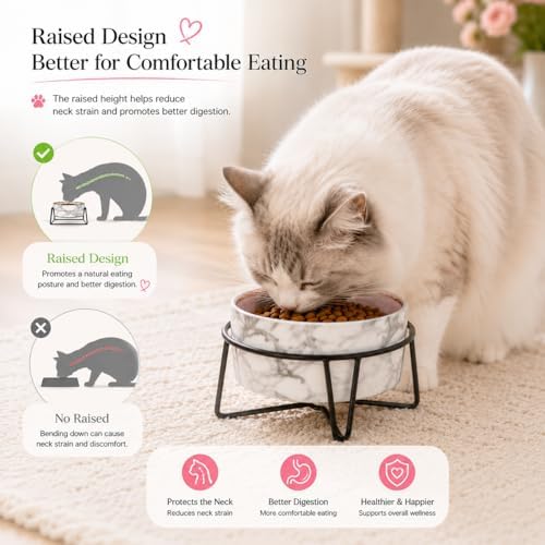 Dazzling Ceramic Elevated Cat Bowls, Gift for Cat Owner, Birthday (Medium,Grey) - Image 4