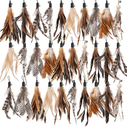 Leitee 30 Pcs Cat Feather Toys Bulk Wand, Classic Color, Reed Flower by Leitee