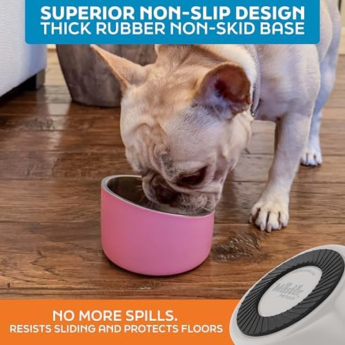 Master Pet Supply Stainless Steel Slanted Dog Cat Food Bowl 8 oz Bone White - Image 5
