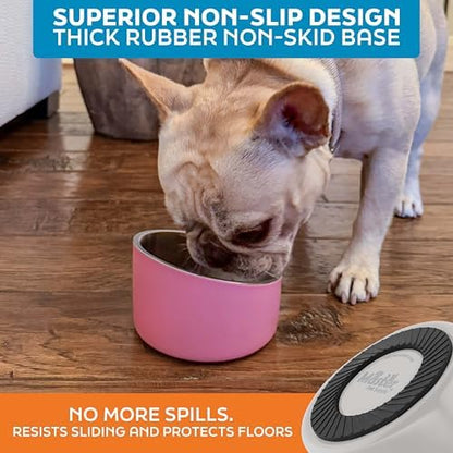 Master Pet Supply Stainless Steel Slanted Dog Cat Food Bowl 8 oz Bone White - Image 5