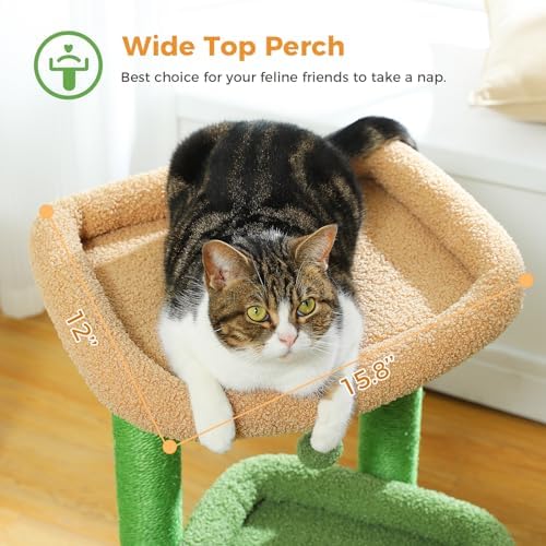 PEQULTI Small Cat Tree Tower for Indoor Cats, Sisal Post & Cozy Condo Green - Image 2