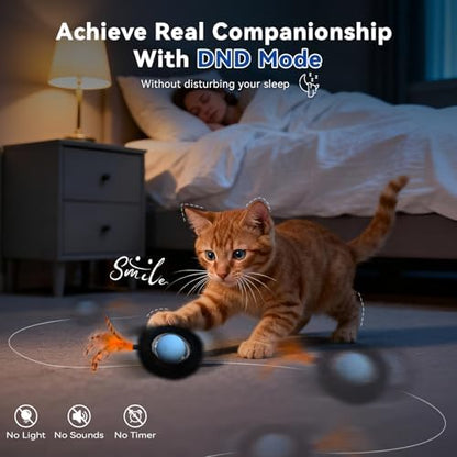 Interactive Cat Toy for Indoor Cats, Motion Activated Ball &7-Hole Maze Mat - Image 6