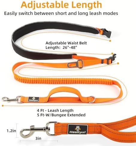 Reflective Waist Bungee Dog Leash - Hands-Free for Running & Walking (Orange Leash) - Image 3
