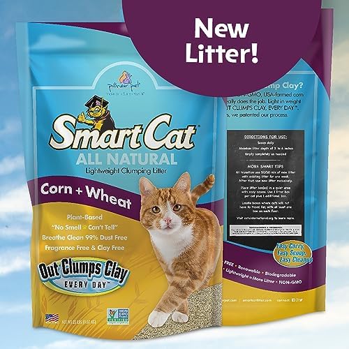 SmartCat All Natural Clumping Corn + Wheat Cat Litter, 20 Pound (320oz - 1 Pack) - Unscented and Clay Free - Image 2