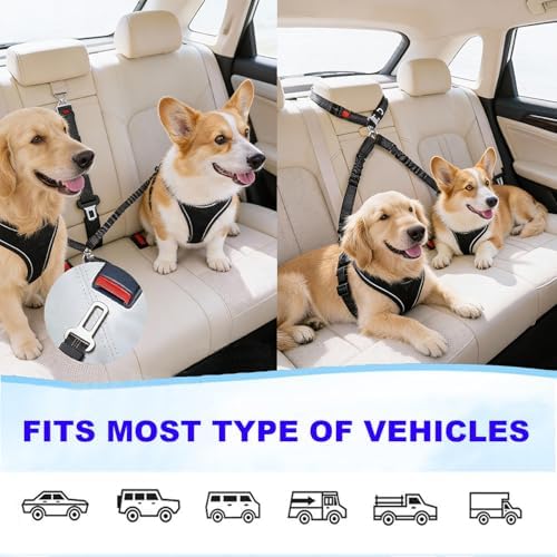 Double Dog Car Seatbelt No-Pull Bungee Reflective Black - Image 6