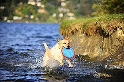 Chuckit! Fetch Medley Dog Ball Dog Toys, Medium (2.5 Inch) Pack of 3, for Medium Breeds & Paraflight Flying Disc Dog Toy, Large (9.75"), Orange and Blue - Image 6